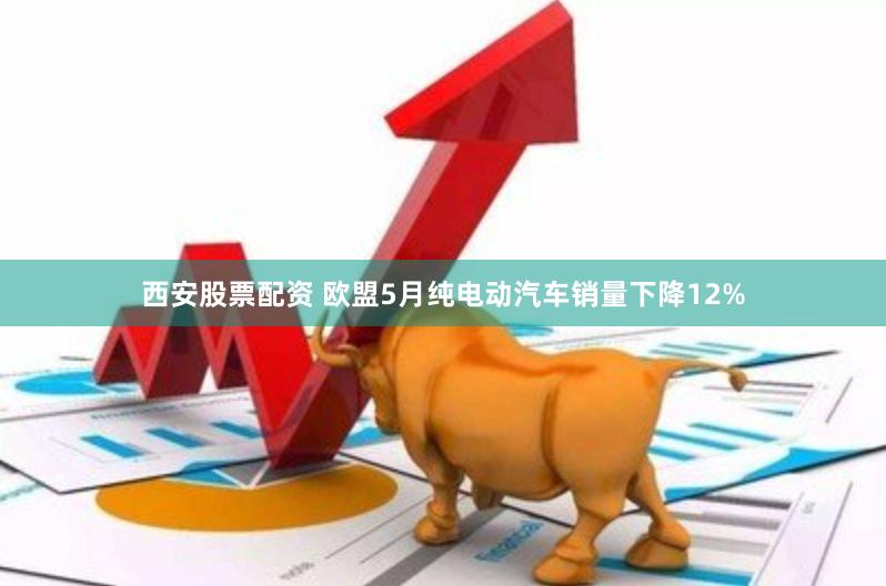 西安股票配资 欧盟5月纯电动汽车销量下降12%